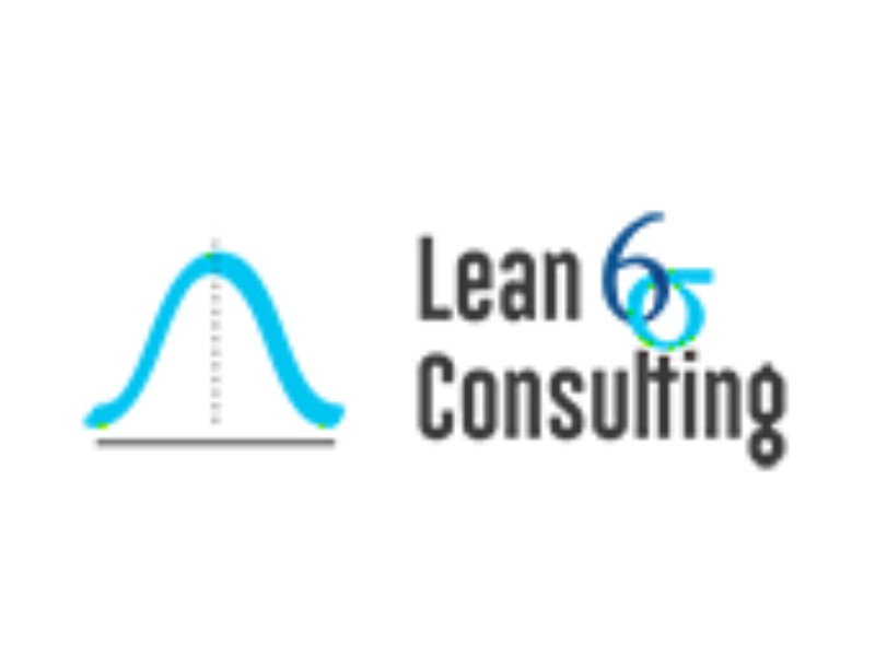 Lean Consulting